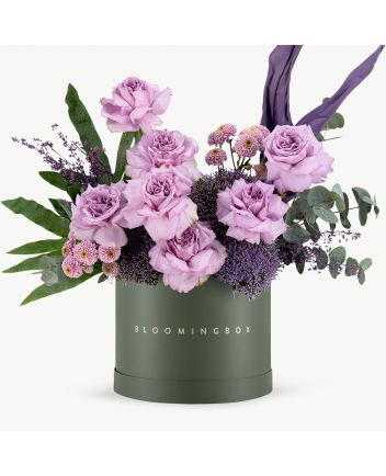 بوكس ابها كبير