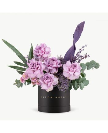 بوكس ابها متوسط