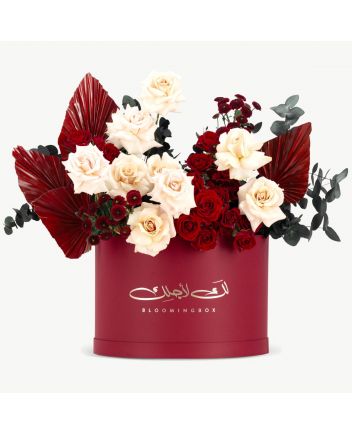 بوكس ادور كبير جدًا