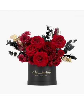 بوكس افوريا كبير