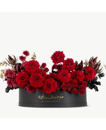 بوكس افوريا ميغا