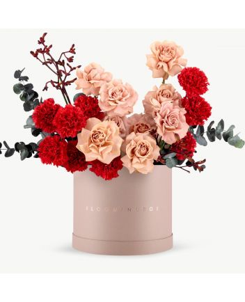 بوكس مراكش كبير