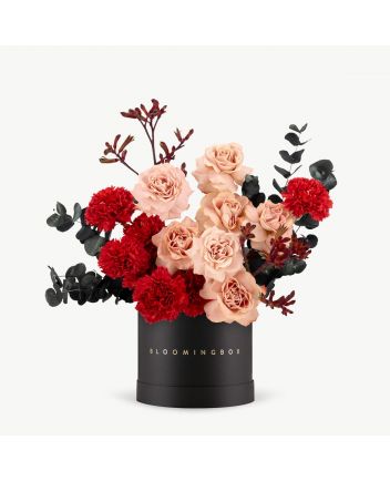 بوكس مراكش متوسط