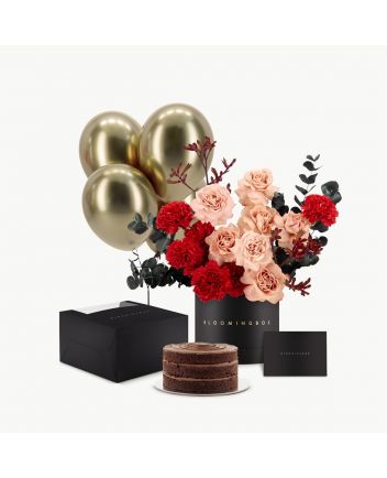 بوكس مراكش مع كيك